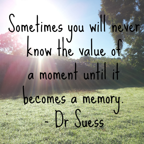 Sometimes you will never know the value of a moment until it becomes a memory.  (17)