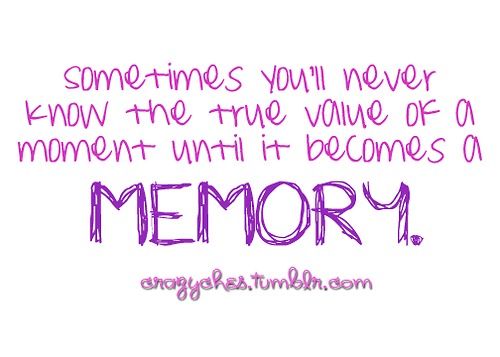 Sometimes you will never know the value of a moment until it becomes a memory. 