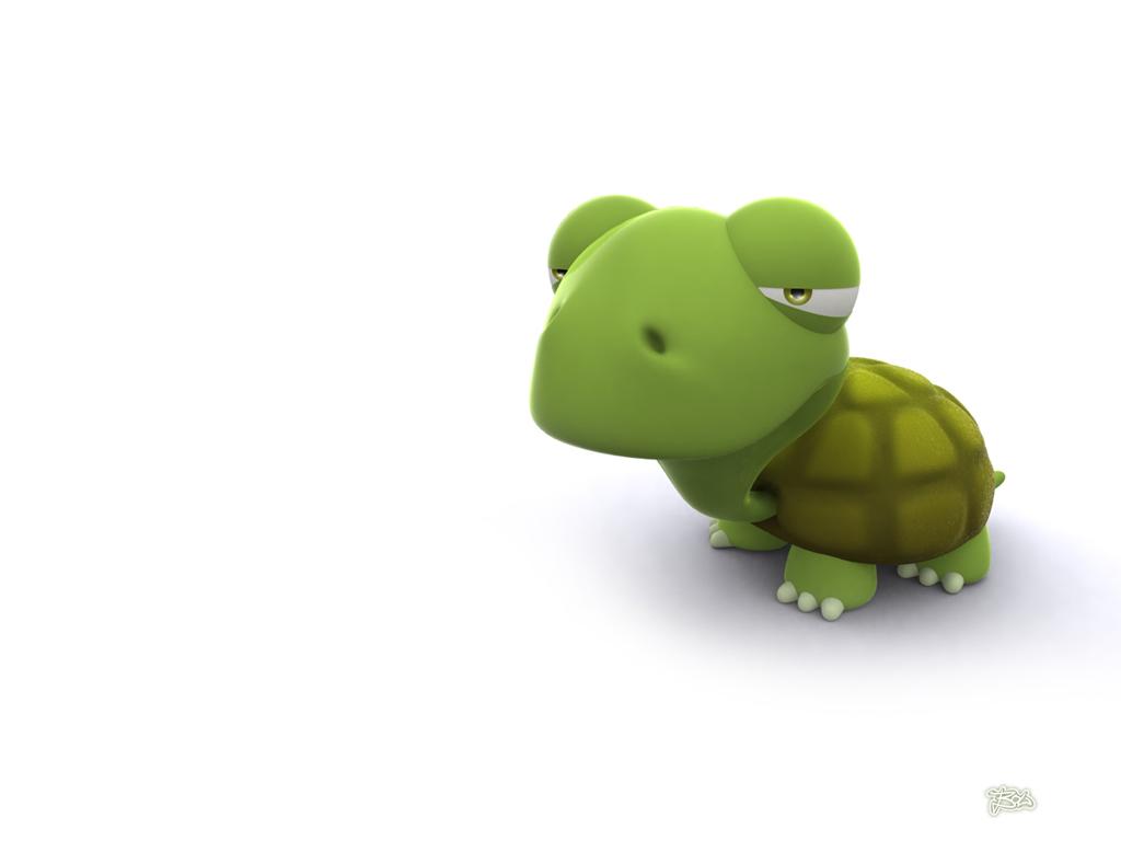 Turtle Funny 3D Picture