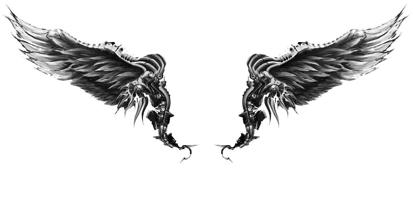 Unique Black And Grey Wings Tattoo Design