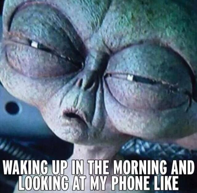 Walking Up In The Morning And Looking At My Phone Like Funny Alien Image