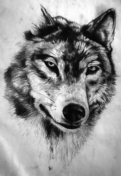 Wolf Head Tattoo Design by Adrian Gallegos