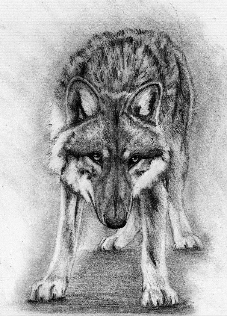 Wolf Tattoo Desigb by Akumademonofnight