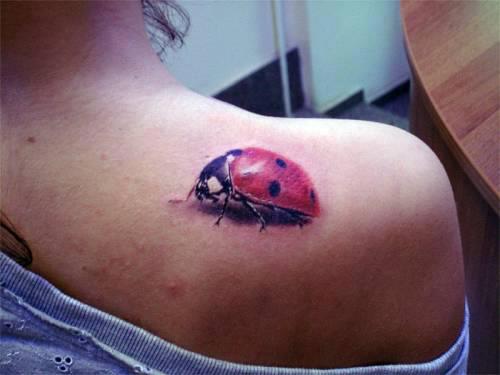 3D Bug Tattoo On Right Back Shoulder