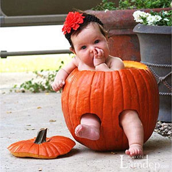 Baby In Pumpkin Funny Child Image