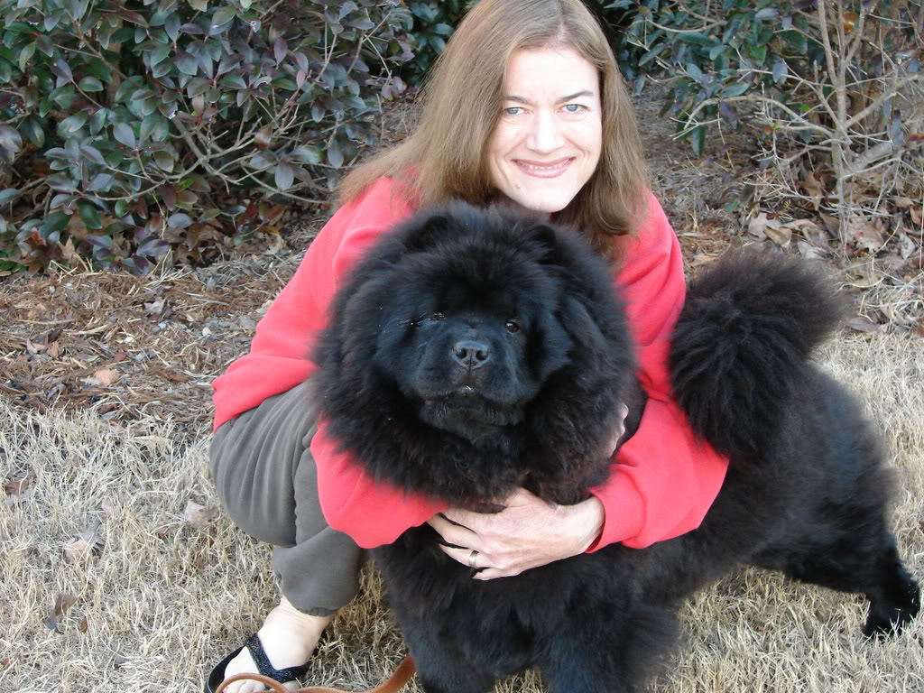 Black Chow Chow Dog With Girl