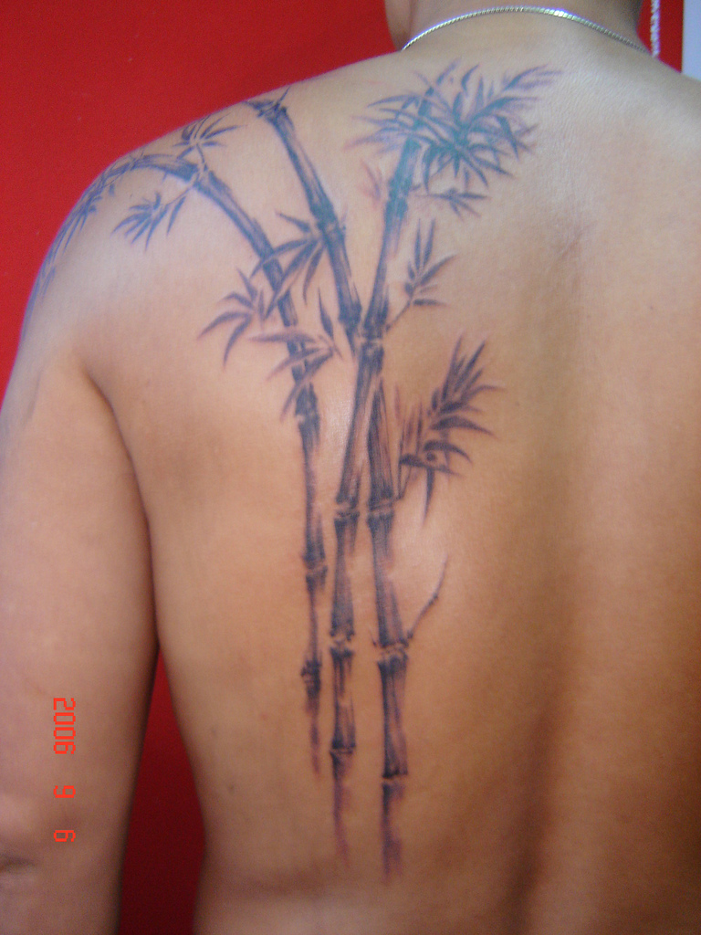 Black Ink Bamboo Trees Tattoo On Man Left Back Shoulder