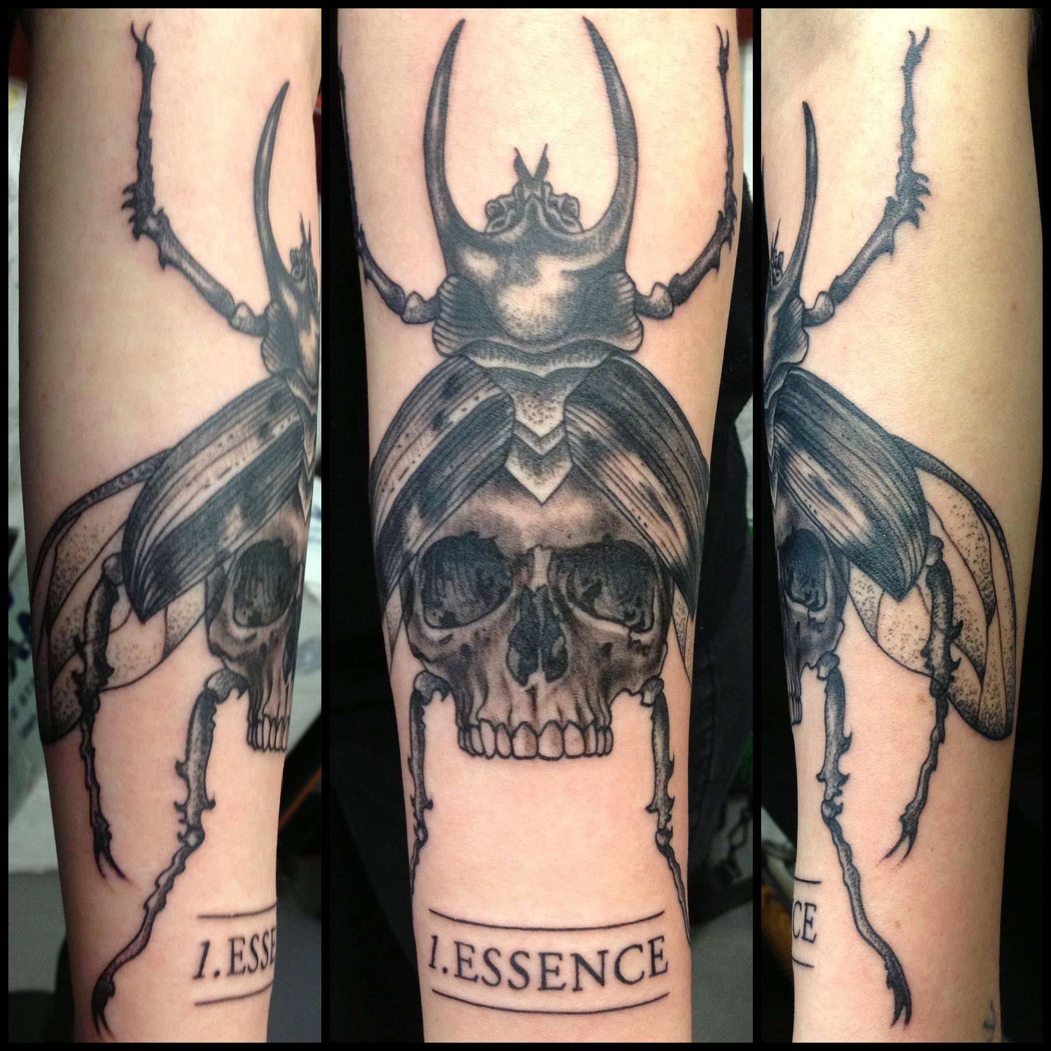 Black Ink Skull Beetle Tattoo Design For Forearm By Maud