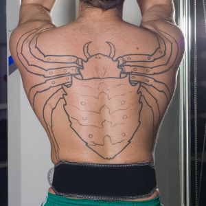 Black Outline Beetle Tattoo On Man Full Back