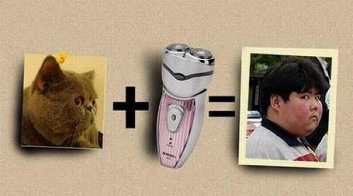Cat Shave Funny Razor Picture
