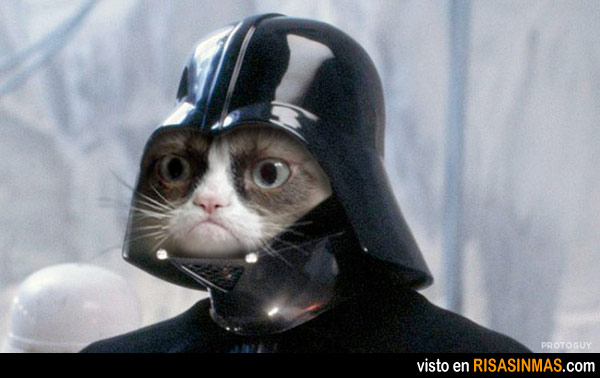 Cat With Darth Vader Mask Funny Picture