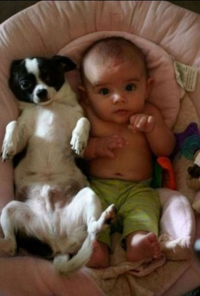 Child With Dog Funny Picture