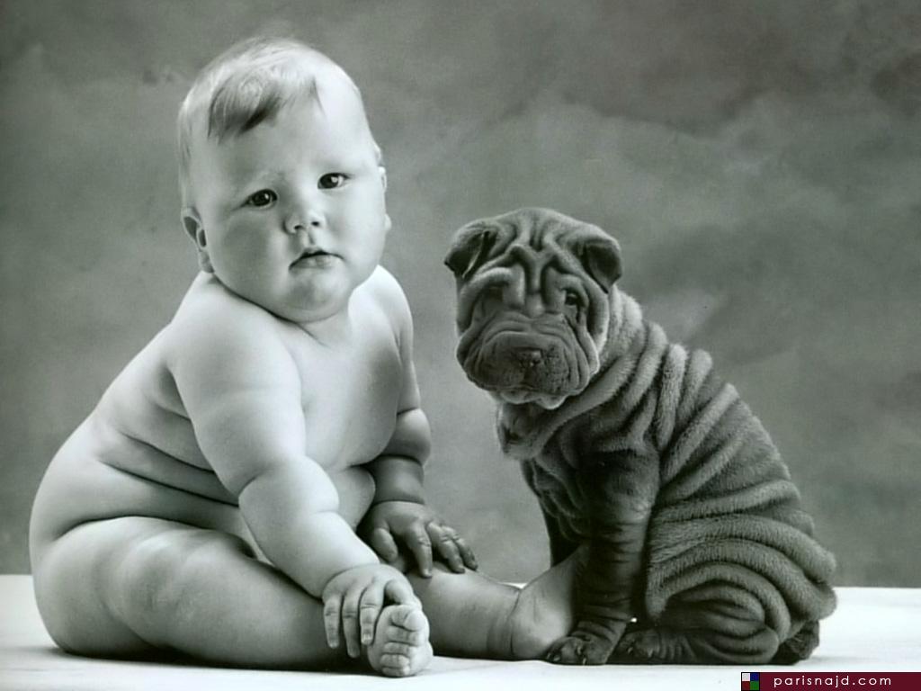 Child With Puppy Funny Picture