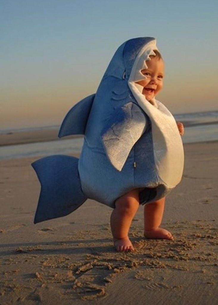 Child With Shark Fish Costume Funny Image
