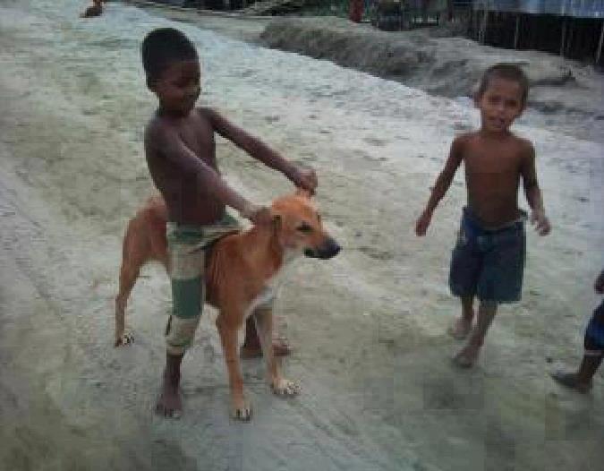 Children Riding Dog Funny Picture