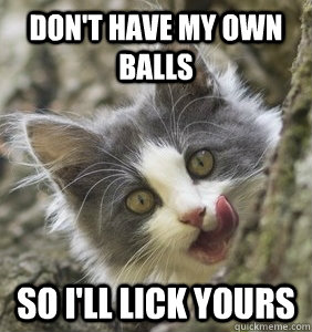 Don’t Have Own Balls So I Will Lick Yours Funny Cat Meme Image.