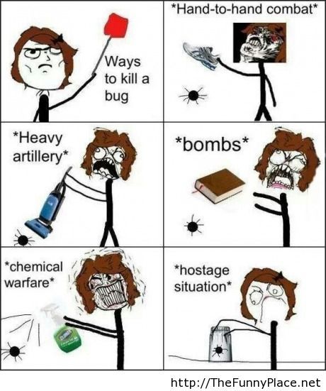 Funny Ways To Kill A Bug
