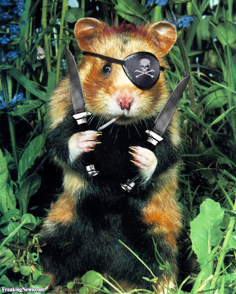 Gangster Hamster Funny Picture