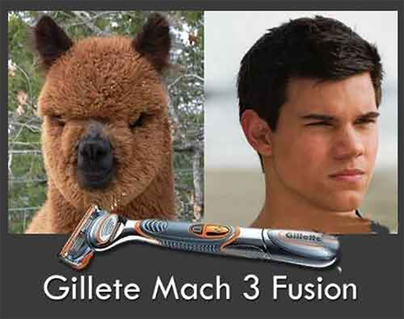 Gillette Mach 3 Fusion Funny Razor Picture