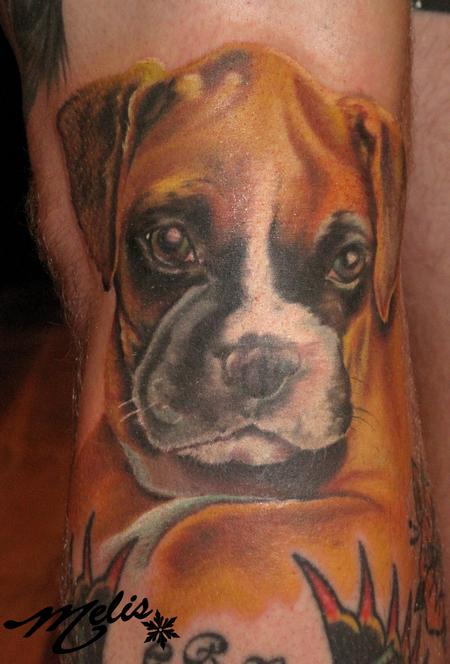 Golden boxer puppy portrait tattoo