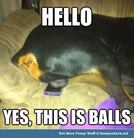 Hello Yes This Is Balls Funny Meme