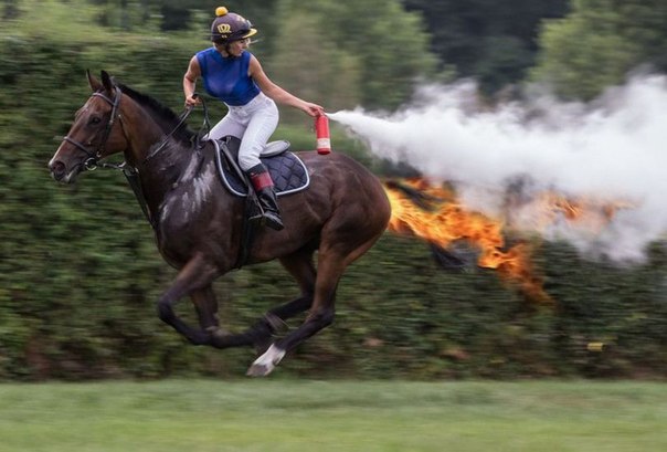Horse On Fire Girl Trying To Extinguish Fire Funny Picture