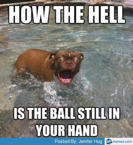 How The Hell Is The Ball Still In Your Hand Funny Meme