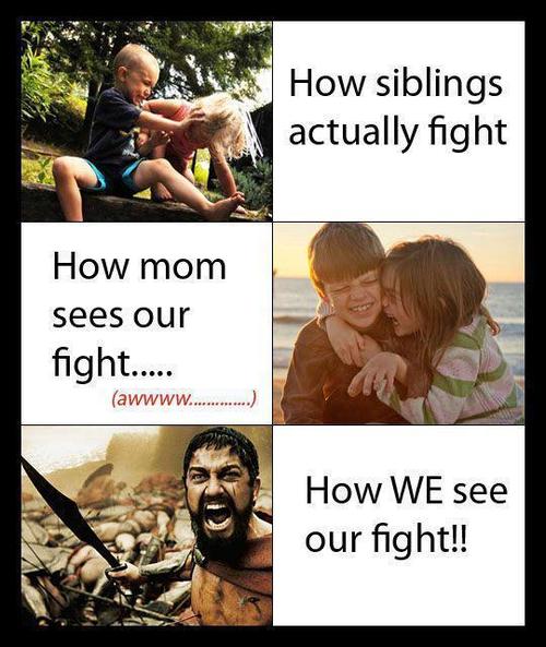 How We See Our Fight Funny Lol Picture