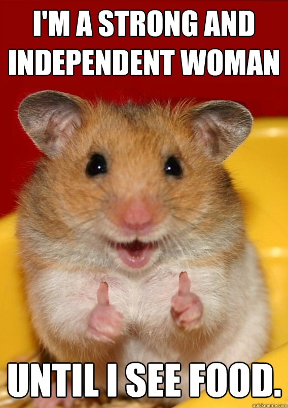 I Am A Strong And Independent Woman Funny Hamster Meme Picture