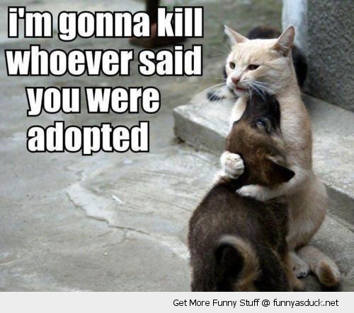 I Am Gonna Kill Whoever Said You Were Adopted Funny Picture
