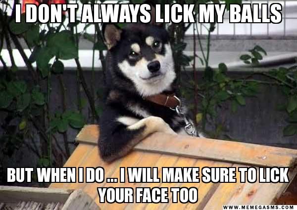 I Don't Always Lick My Balls Funny Dog Meme Image