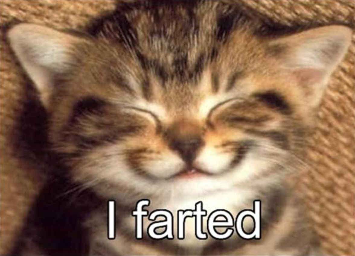 I Farted Funny Lol Cat Picture