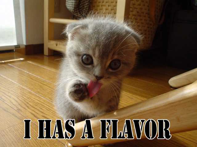 I Has A Flavor Funny Lol Cat Picture