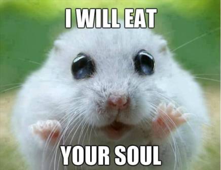 I Will Eat Your Soul Funny Hamster Picture