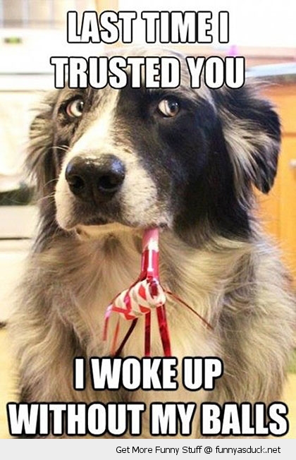 I Woke Up Without My Balls Funny Dog Meme Picture