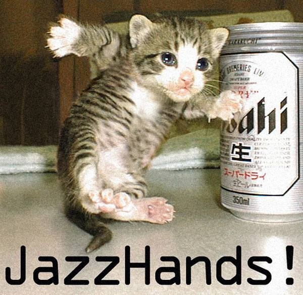 Jazz Hands Cat Funny Lol Image