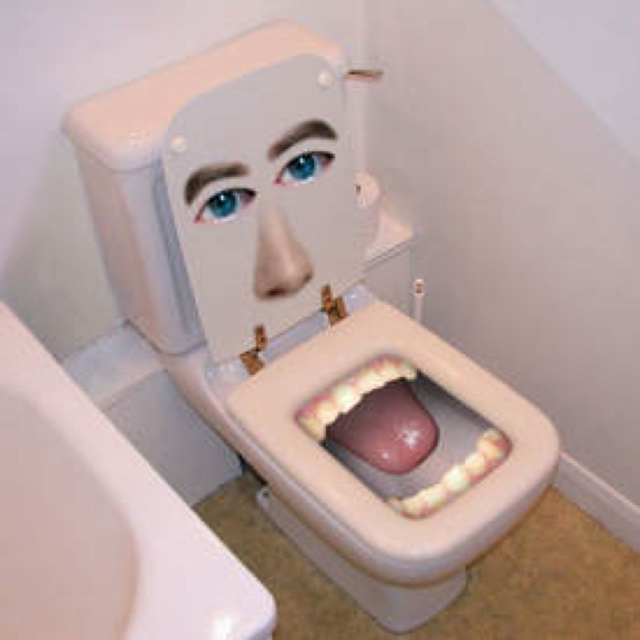 Laughing Toilet Funny Lol Picture