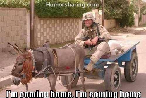 Military On Donkey Cart Funny Picture