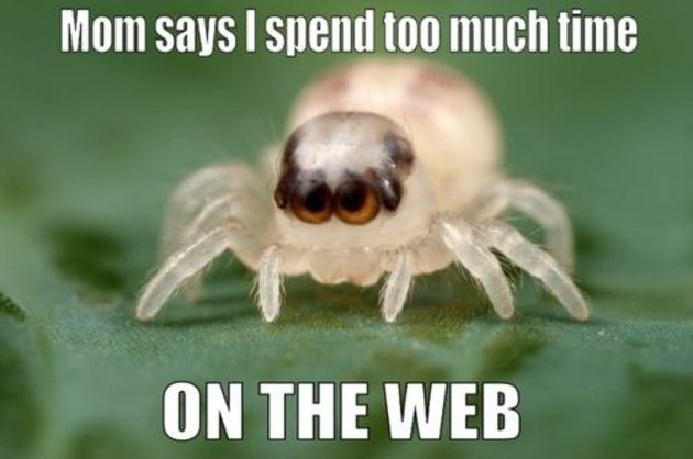 Mom Says I Spend Too Much Time On The Web Funny Lol Image