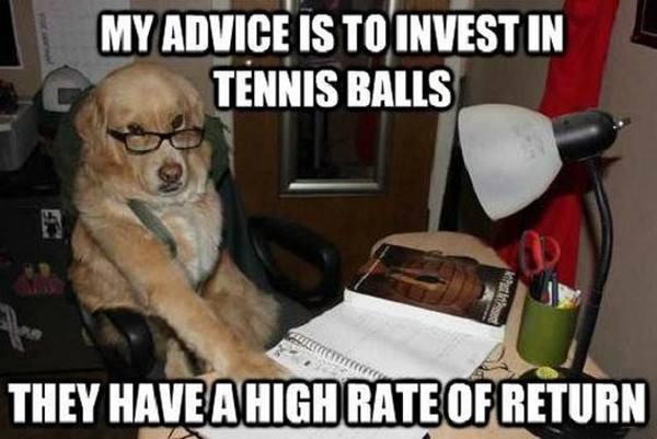 My Advice Is To Invest In Tennis Balls They Have A High Rate Of Return Funny Dog Meme