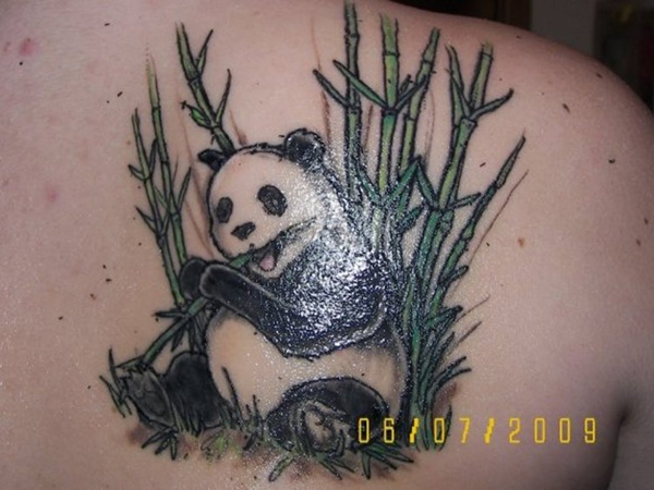 Panda With Bamboo Trees Tattoo On Right Back Shoulder