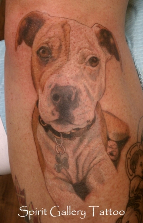 Pitbull puppy portrait tattoo