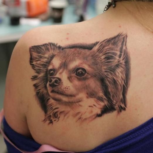 Pup portrait tattoo on back shoulder by vegar granlund