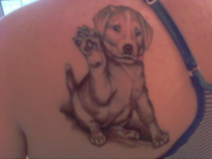 Puppy Dog Tattoo On Left Back Shoulder
