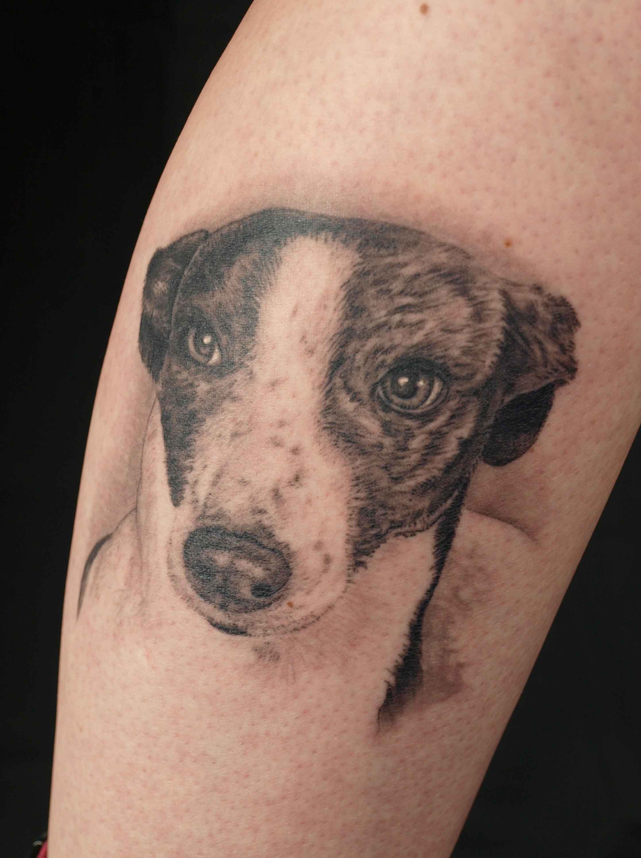 Realistic Puppy Tattoo on Arm