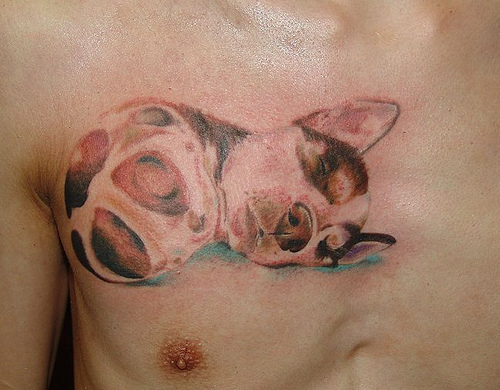 Realistic sleeping puppy tattoo on men chest