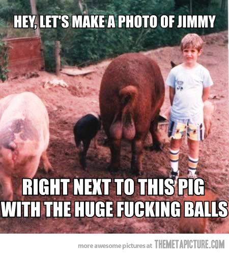 Right Next To This Pig With Huge Fucking Balls Funny Meme