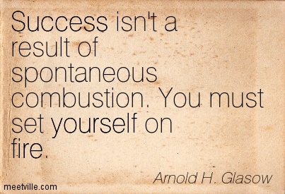 Success isn't a result of spontaneous combustion. You must set yourself on fire (6)