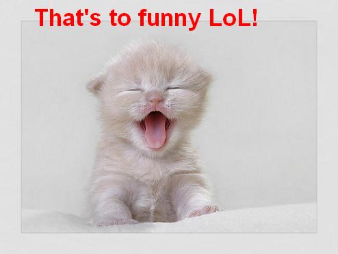 That's To Funny Lol Cat Image