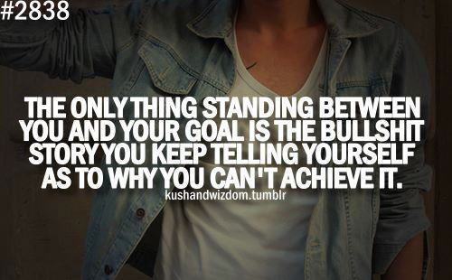 The only thing standing between you and your goal is the bullshit story you keep telling yourself as to why you can’t achieve it. 
